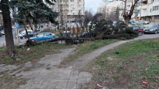 Ураганни ветрове със скорост от 150 км/ч обрулиха България ВИДЕО