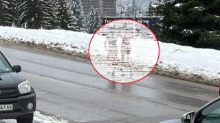 Полуголи бягащи мадами в снега ошашавиха всички в Пампорово СНИМКА 18+
