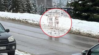 Още скандални СНИМКИ 18+ на полуголите мадами, шашнали Пампорово