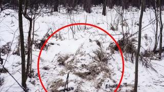 Киев пусна уникални СНИМКИ: Къде е снайперистът на картинката?