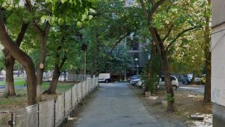 След дъжд качулка: Махнаха опасните дървета от мястото, където бяха премазани три деца 