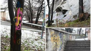 Яж ми х*я, секс услуги и други грозни изцепки - драскачите се върнаха в Пловдив СНИМКИ