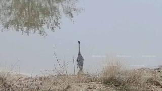 Шокираща гледка в кърджалийско село, местните не вярват на очите си СНИМКИ 