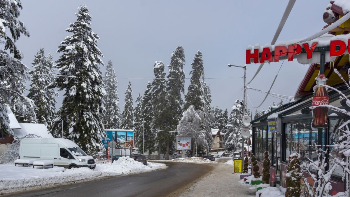 "Кърлежите" налазиха курортите! Дебнат ни на пистите, за да ни одерат с 600 лв. 