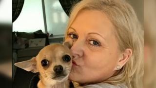 Чихуахуа се изходи в устата на стопанката си и едва не я уби СНИМКИ