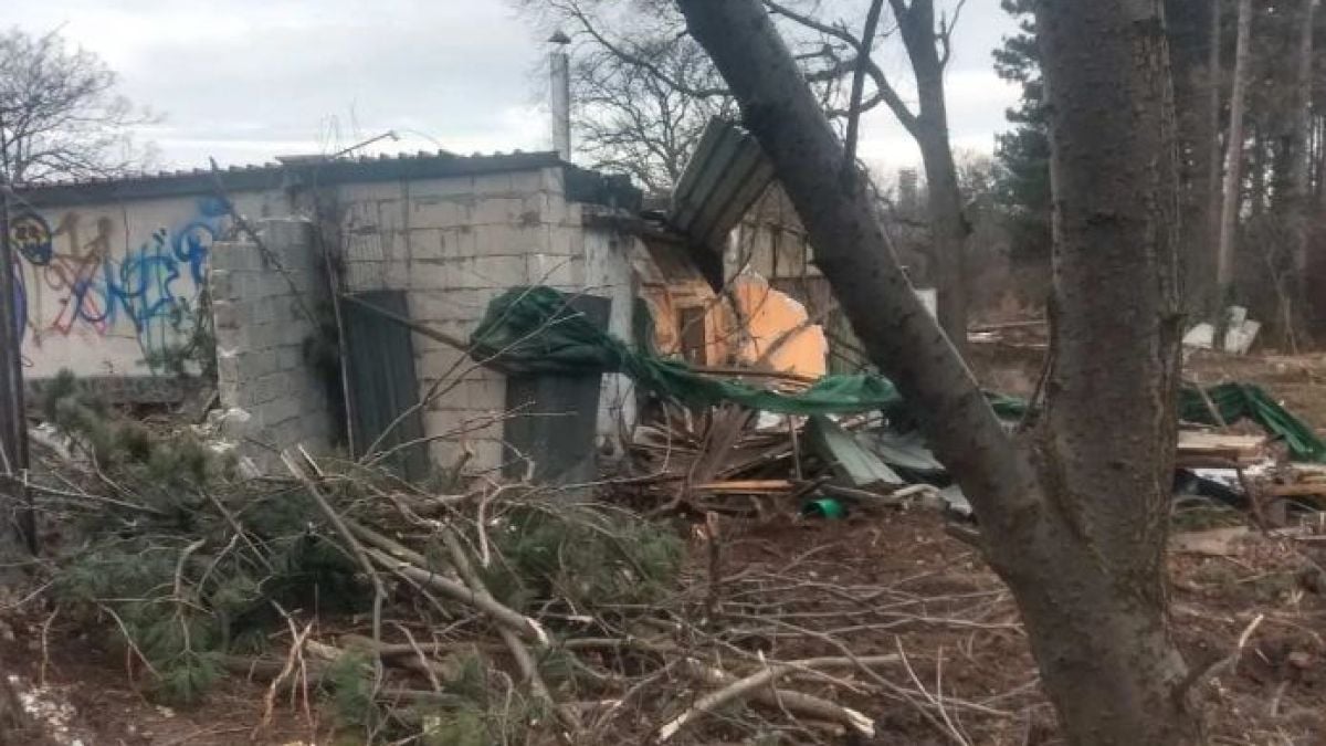 Шефът на СОС подпука Трайчо Трайков и собствениците на имота заради сечта в Борисовата градина СНИМКИ