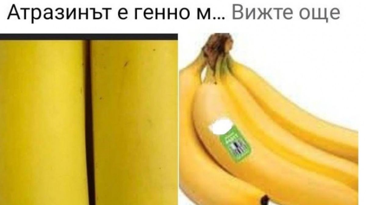 Разкриха голяма конспирация за превръщането на мъжете в жени чрез този хербицид в храните СНИМКИ