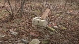 Ужас, над 400 трупа са заровени във варненския парк „Златни пясъци”, причината е трагична