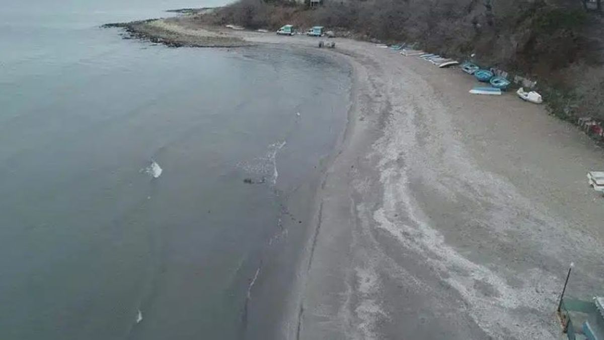 Голяма промяна с Мраморно море в Турция след земетресението