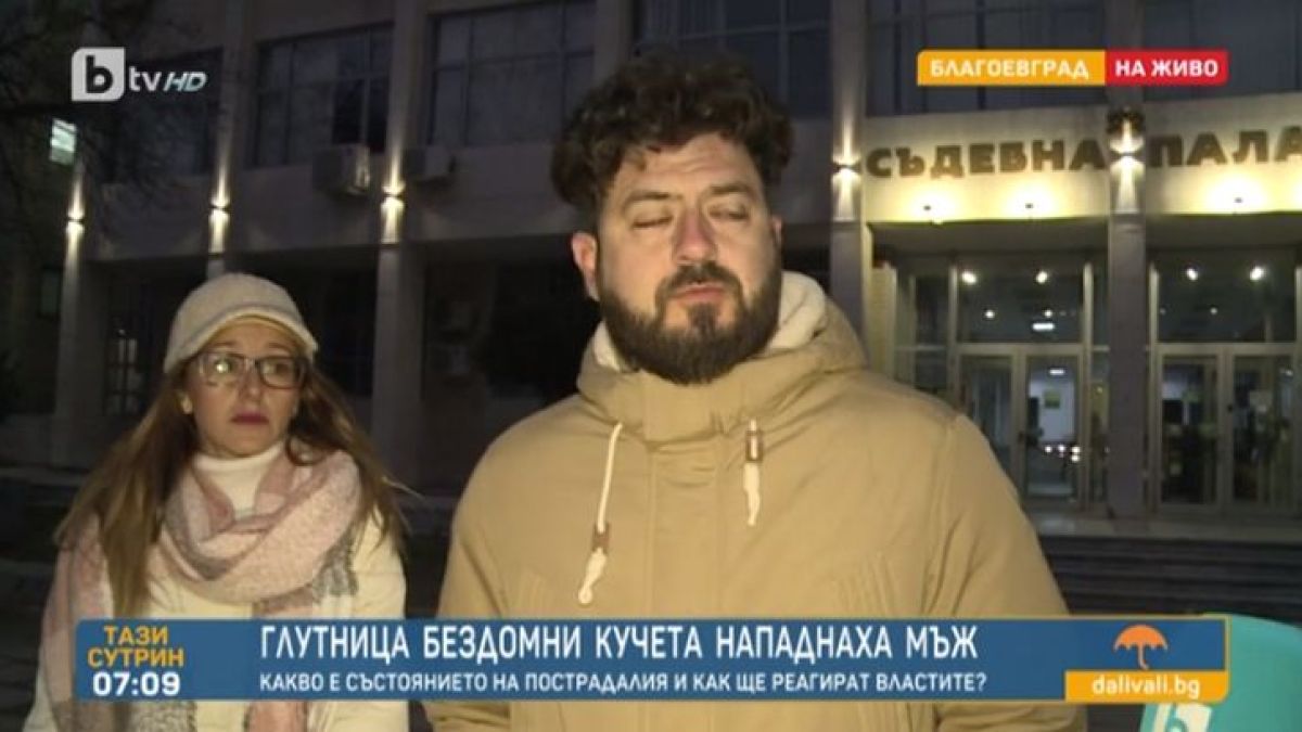 Бездомни кучета разкъсаха наш актьор ВИДЕО