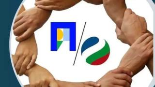 В логото на ПП и ДБ: Много повече "меки китки" отколкото любов