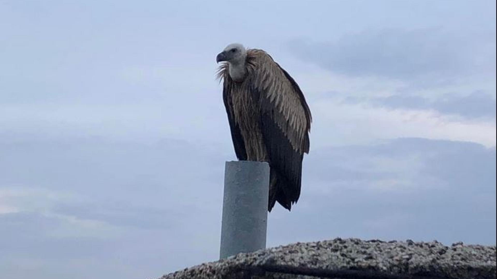 Казанлъкчани гледат към небето и не вярват на очите си СНИМКИ