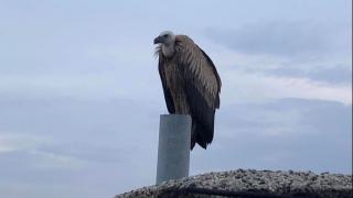 Казанлъкчани гледат към небето и не вярват на очите си СНИМКИ