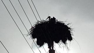 В Червен бряг посрещнаха много скъп гост СНИМКА
