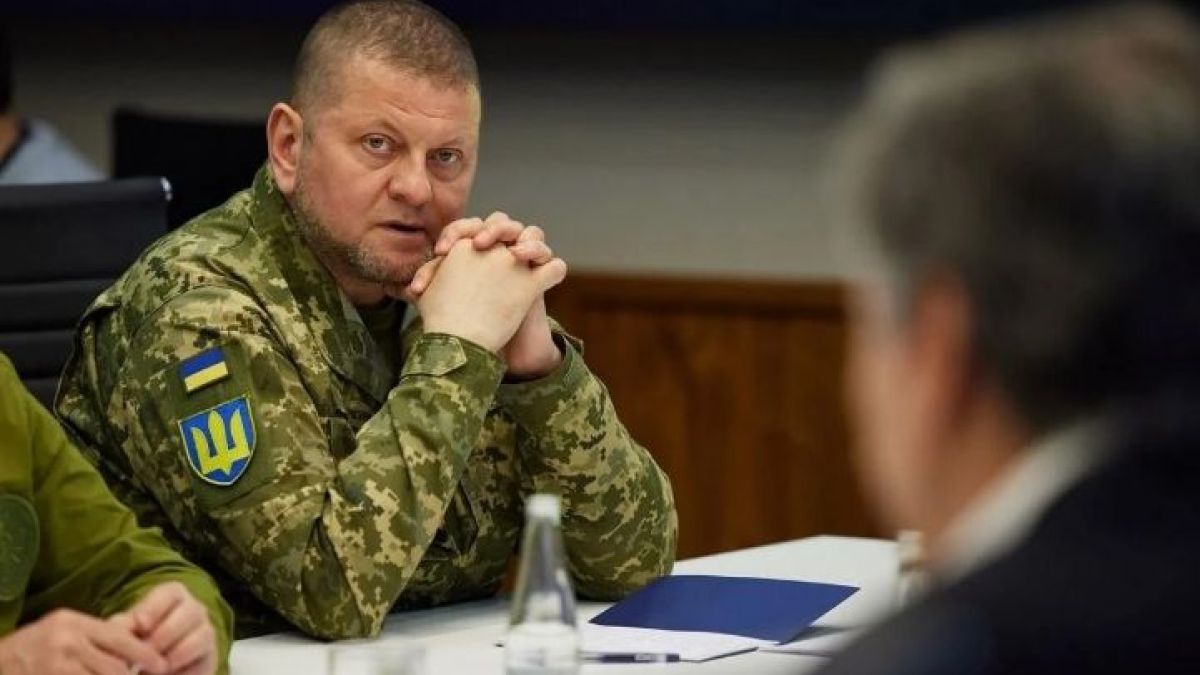 Харесват ли Залужни украинците? 