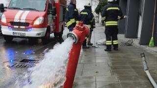 Такова меле не се вижда всеки ден: Уловиха на ВИДЕО посред нощ в Пловдив...