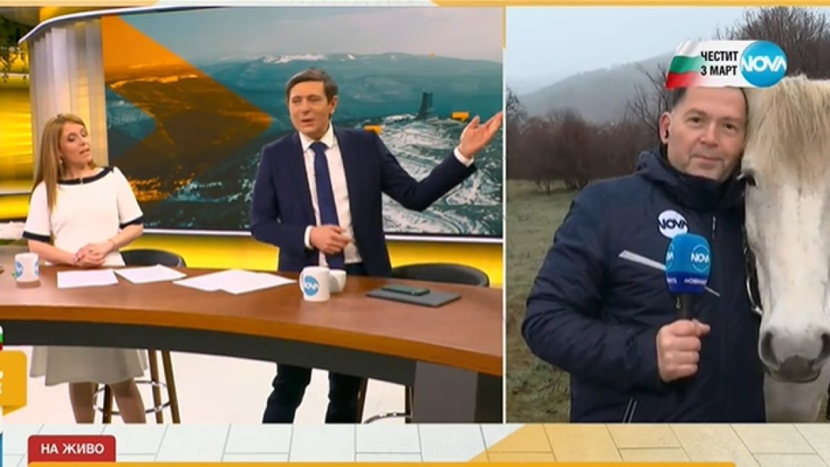 Виктор Николаев пак култов, изби рибата с въпрос към Румен Бахов