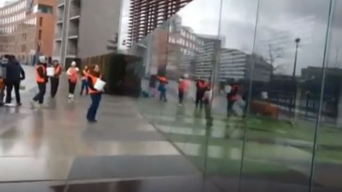 Екоактивистите пак атакуват, удариха Бундестага ВИДЕО
