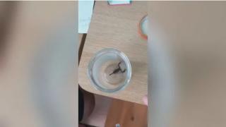 Жена си купи банани от магазинче и последва ад СНИМКА