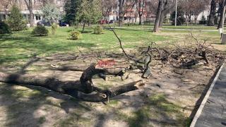 Кошмар до детски люлки в Пловдив СНИМКИ