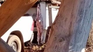 Неочакван обрат с елена, одран в Кладнишкия манастир 