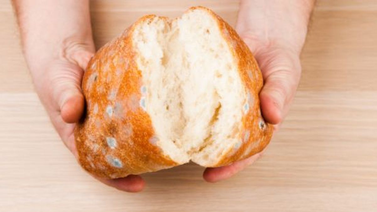 Край на драмите: Хлябът вече няма да мухлясва, ако...