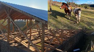 Кои са каубоите на Родопите и какви са най-големите им проблеми СНИМКИ