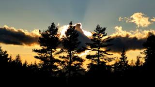 Азарей с нова звездна прогноза, каза от какво да се пазим