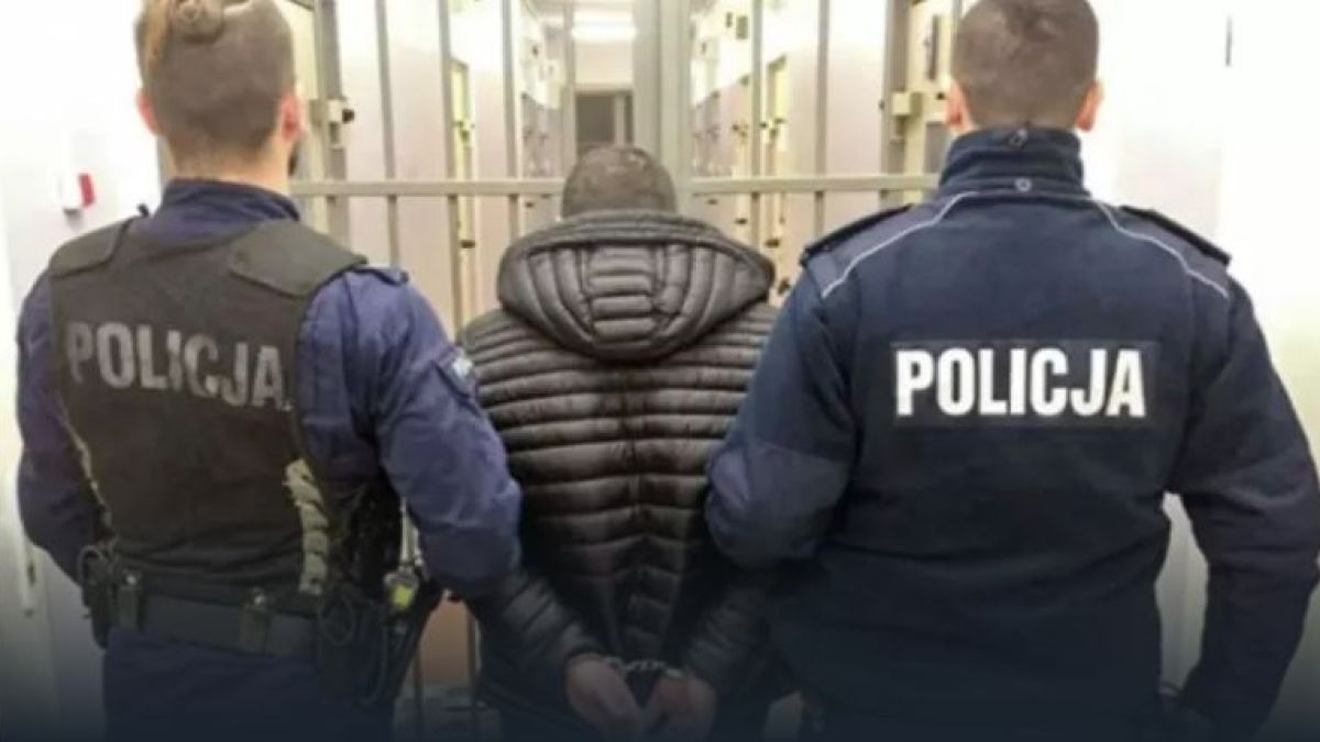 NDP: Паника в Полша заради украинска престъпност
