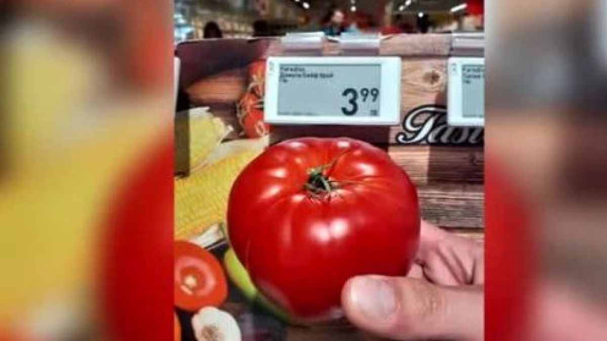 4 лв. за един домат в хипермаркетите, а на пазарите...ВИДЕО