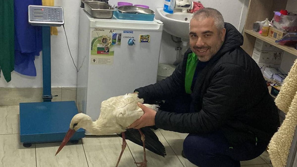 Полицаи в Крумовград спасиха бедстваща душа от улицата СНИМКА