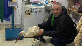Полицаи в Крумовград спасиха бедстваща душа от улицата СНИМКА
