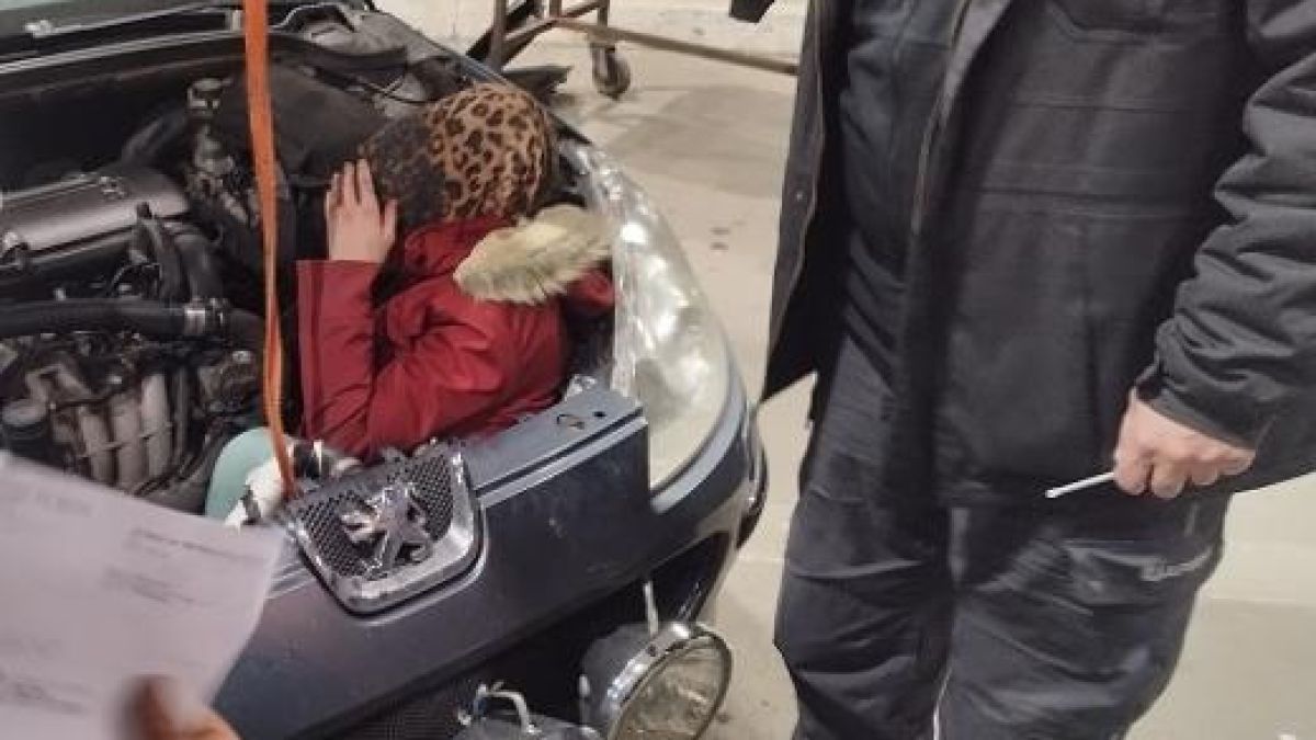 Такова чудо на сръбско-българската граница не е ставало: Пипнаха мигрантка, скрита във... СНИМКИ