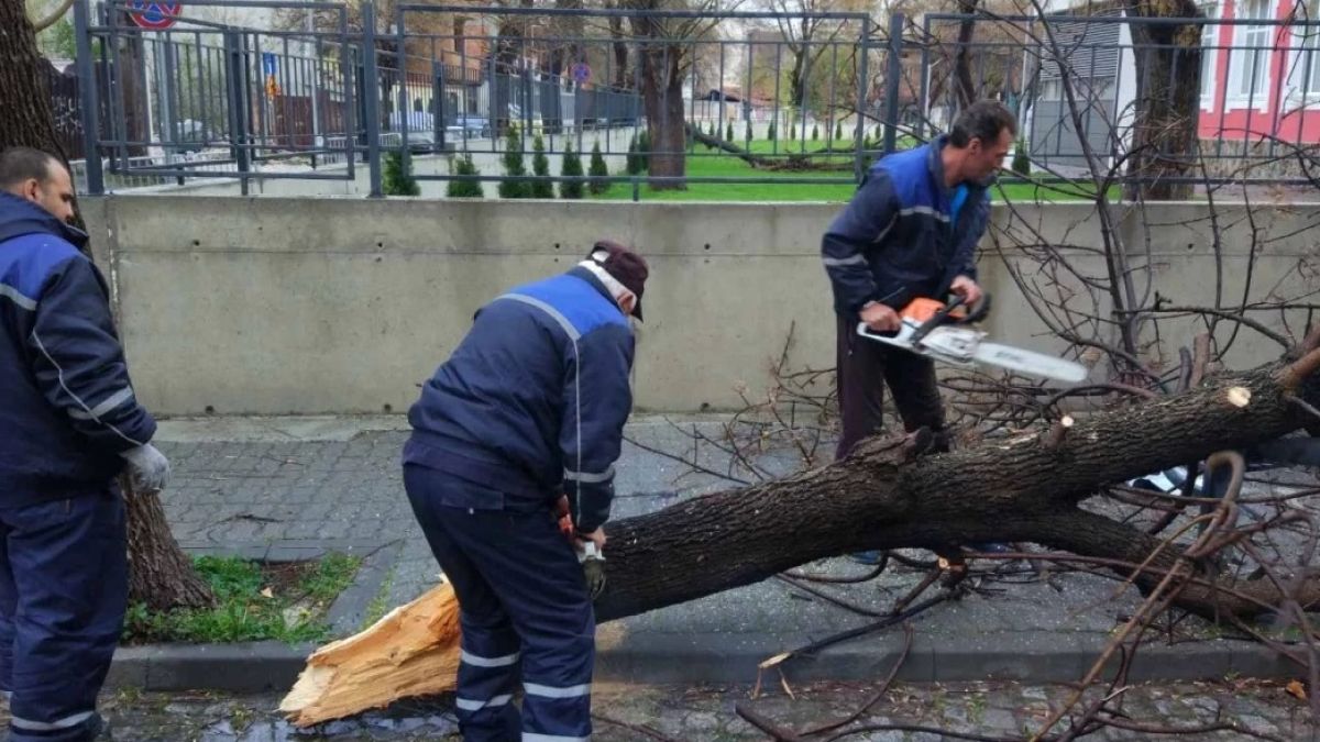 Пожарната в Пловдив с важна информация за щетите в града след ураганния вятър