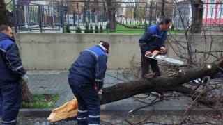 Пожарната в Пловдив с важна информация за щетите в града след ураганния вятър