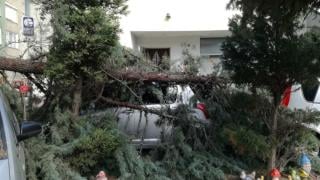 Страшна стихия брули България, помита всичко по пътя си ВИДЕО 