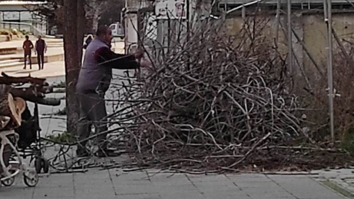 Пловдивчани гледат какво прави тази групичка на метри от пазара и не вярват на очите си СНИМКИ 
