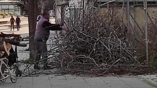 Пловдивчани гледат какво прави тази групичка на метри от пазара и не вярват на очите си СНИМКИ 