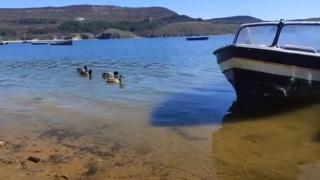 Българи отсякоха: Този роден край е много по хубаво от Сен Тропе ВИДЕО