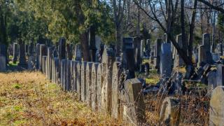Ужас: 23-годишен заведе 15-г. момиче до гробищата в Костинброд и я...