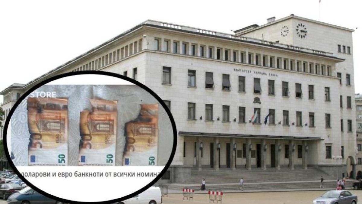 Куриоз! Няма да повярвате с какъв бизнес се занимават нашенци в еврозоната 