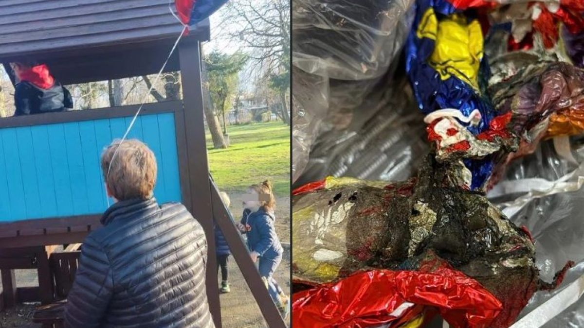 Неописуем ужас сполетя детенце в столичен парк заради невинно забавление