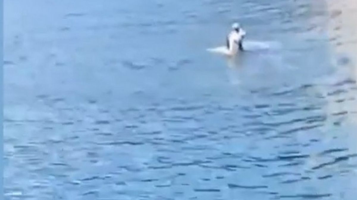 Чудото, което направи това куче в морето, смая варненци ВИДЕО 
