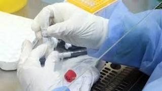 Сводка: Това е положението с К-19 в събота