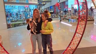 Шофьор прегази куче и избяга ВИДЕО