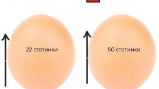 Защо в България броим 50 ст. за яйце, а в Англия струват по 22?