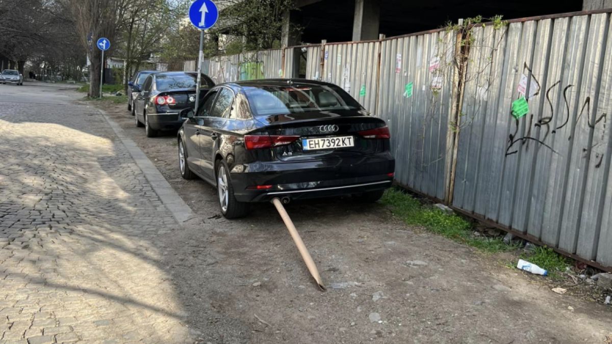 Набучиха като на шиш плевенско Ауди, паркирало в София СНИМКИ