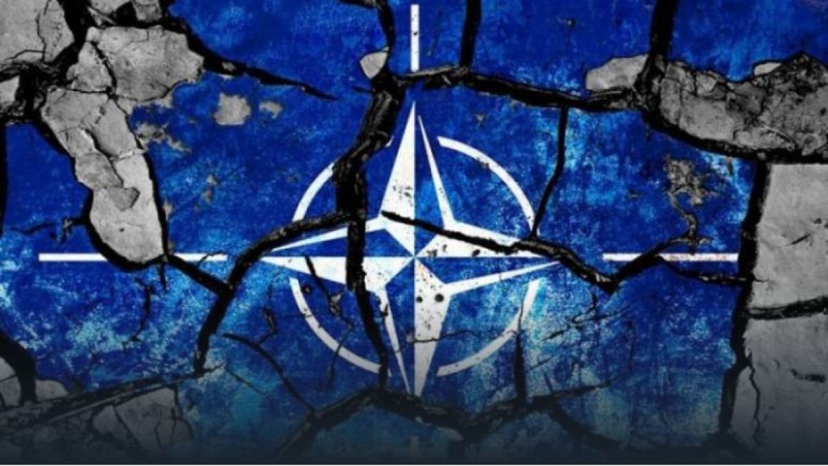 NDP: Полша за два месеца ще стане военен полигон на НАТО