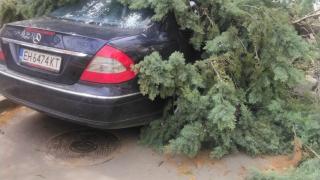 В София е като на война, зрелищни СНИМКИ