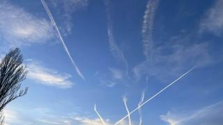 Найо Тицин нарече кретени всички българи, които вярват в това